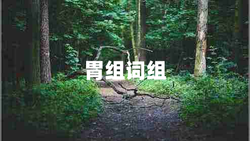 胃組詞組