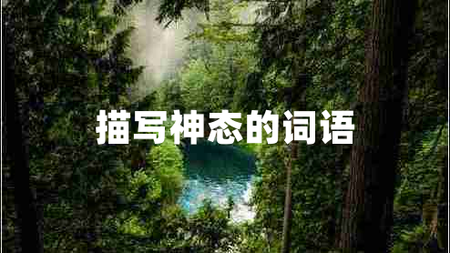 描寫(xiě)神態(tài)的詞語(yǔ)
