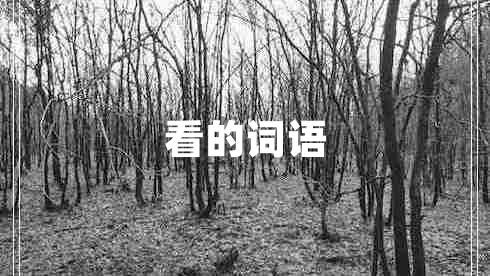 看的詞語(yǔ)