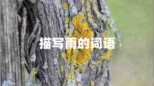 描寫(xiě)雨的詞語(yǔ)