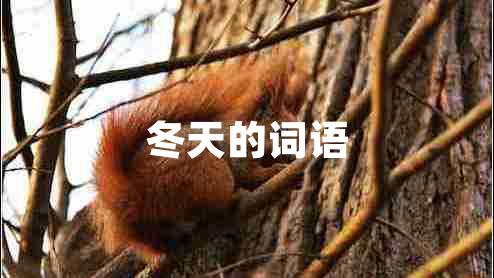 冬天的詞語(yǔ)