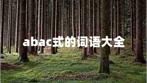 abac式的詞語(yǔ)大全