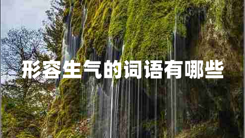 形容生氣的詞語(yǔ)有哪些
