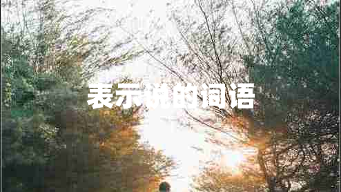 表示說(shuō)的詞語(yǔ)