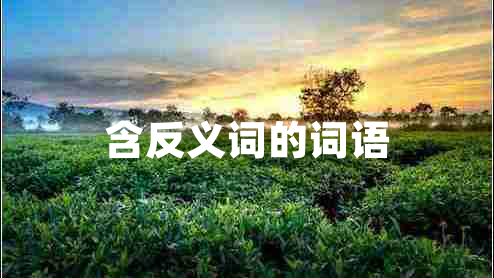 含反義詞的詞語(yǔ)