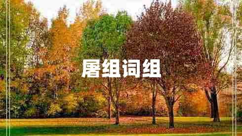 屠組詞組