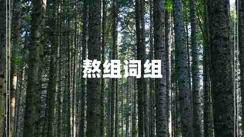 熬組詞組