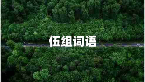 伍組詞語(yǔ)