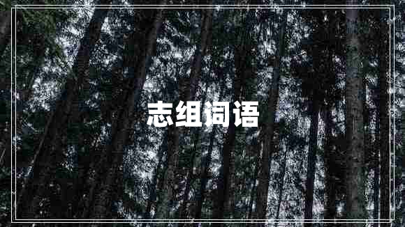 志組詞語(yǔ)