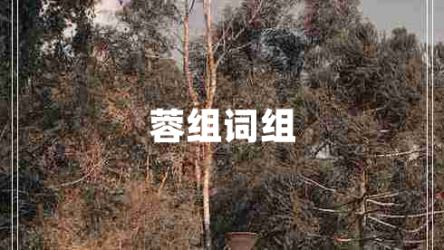 蓉組詞組