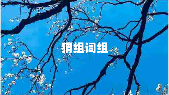 猬組詞組