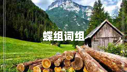 蝶組詞組
