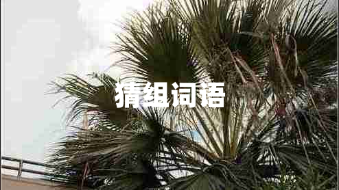 猜組詞語(yǔ)