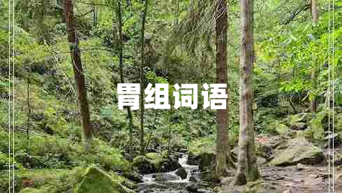 胃組詞語(yǔ)
