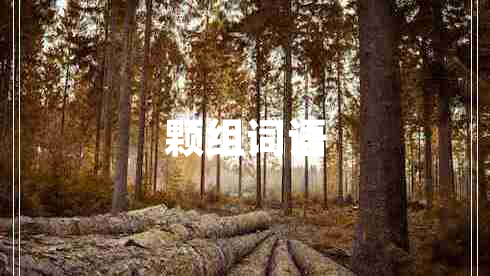 顆組詞語(yǔ)