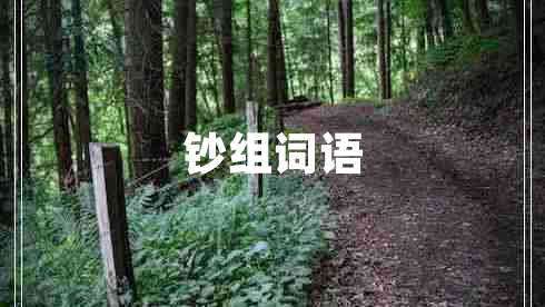 鈔組詞語(yǔ)