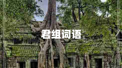 君組詞語(yǔ)