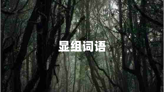 顯組詞語(yǔ)