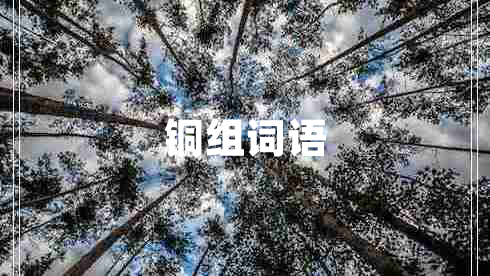 銅組詞語(yǔ)
