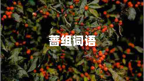 薔組詞語(yǔ)
