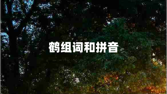 鶴組詞和拼音