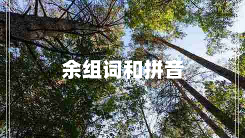 余組詞和拼音