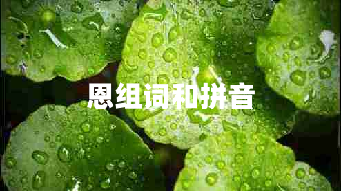 恩組詞和拼音