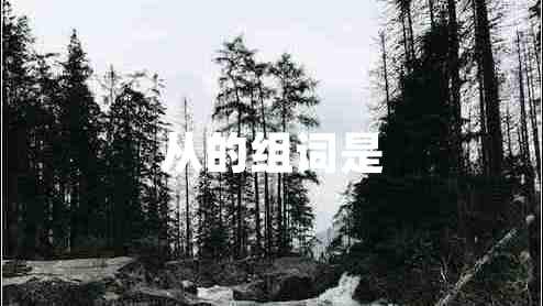 從的組詞是