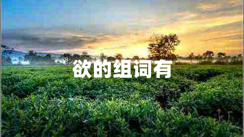 欲的組詞有