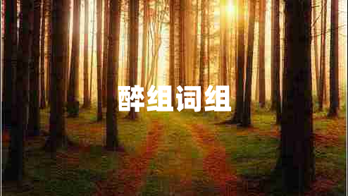 醉組詞組