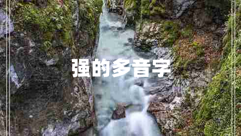 強的多音字