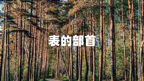 表的部首