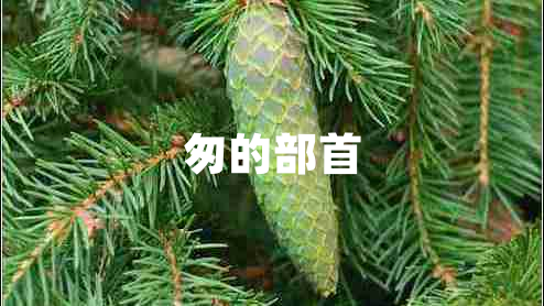 匆的部首