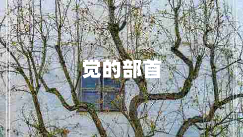 覺(jué)的部首