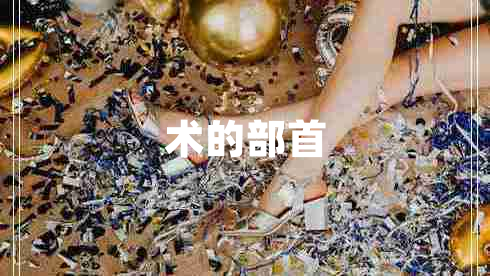 術(shù)的部首