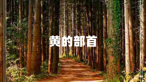 黃的部首