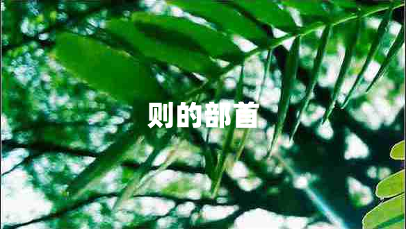 則的部首