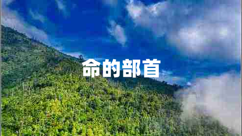 命的部首