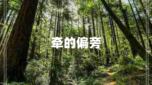 牽的偏旁