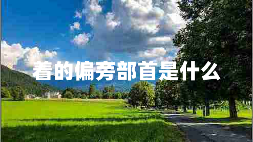 著(zhù)的偏旁部首是什么