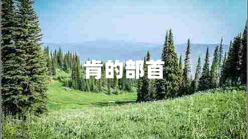 肯的部首