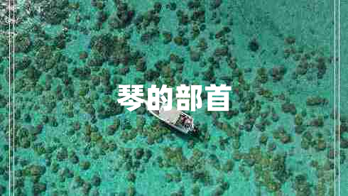 琴的部首