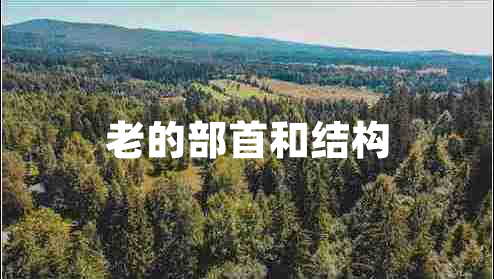 老的部首和結構