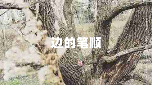 邊的筆順