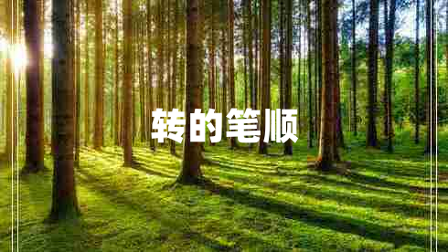 轉的筆順