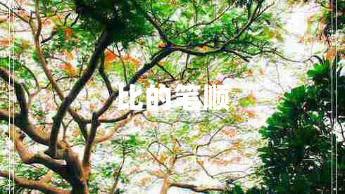 比的筆順