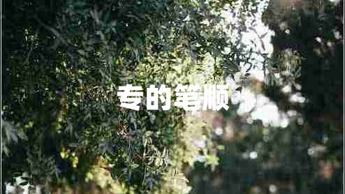 專(zhuān)的筆順