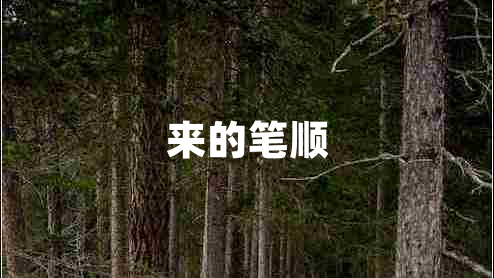 來的筆順