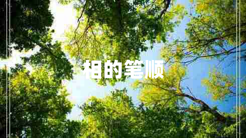 相的筆順