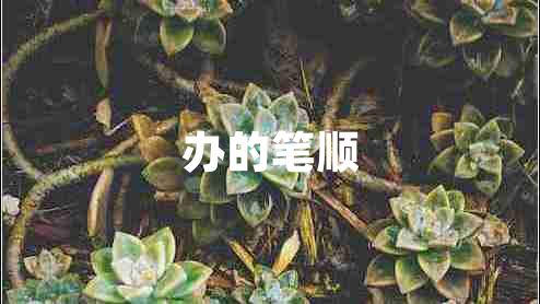 辦的筆順